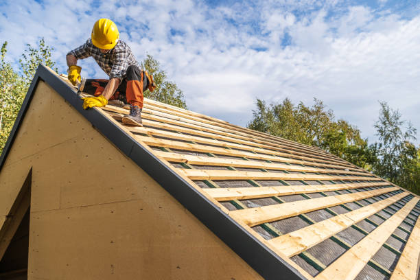Best Roof Gutter Cleaning  in Abbeville, GA